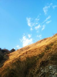 Scenic view of landscape against blue sky
