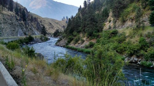 Scenic view of river and mountains