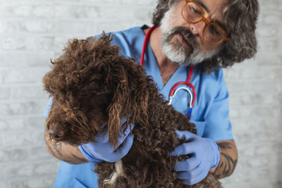 Veterinary technician examining a water dog breed animal