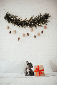 Close-up of christmas decorations on snow