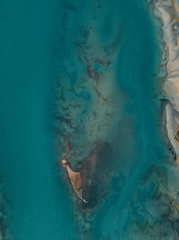 Coastal landscape in patagonia.