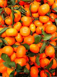 High angle view of oranges in market