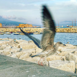 Blurred motion of birds by sea against sky