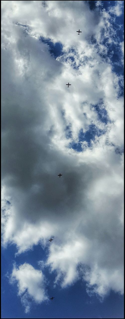 flying, low angle view, sky, cloud - sky, bird, cloudy, animal themes, mid-air, cloud, wildlife, animals in the wild, nature, beauty in nature, airplane, tranquility, day, blue, scenics, outdoors