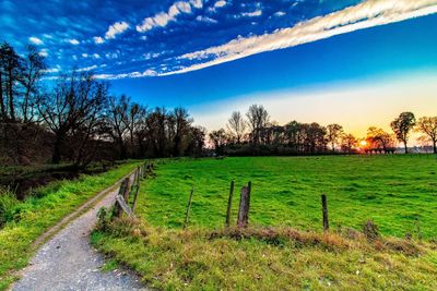 Scenic view of field against sky