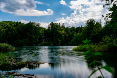 Scenic view of river amidst trees against sky