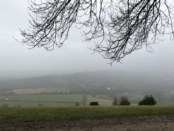 Trees on field against sky during foggy weather