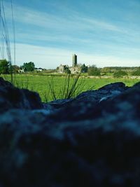 Scenic view of grassy field against sky