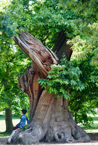 Man on tree