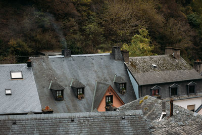 Houses in forest