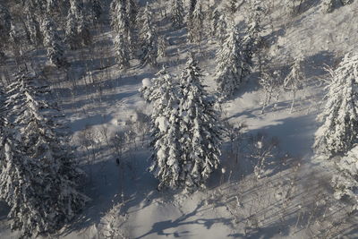 Scenic view of snowcapped mountains during winter