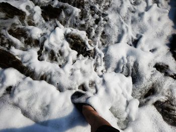 Low section of person on snow covered land