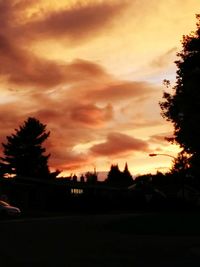 Silhouette of trees against cloudy sky