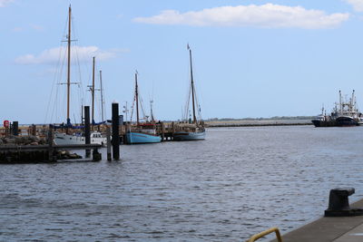 Sailboats moored in harbor