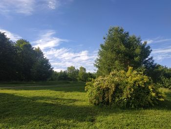 Scenic view of field against sky