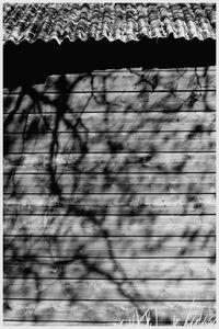Close-up of shadow
