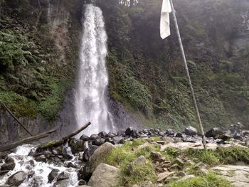 Scenic view of waterfall in forest