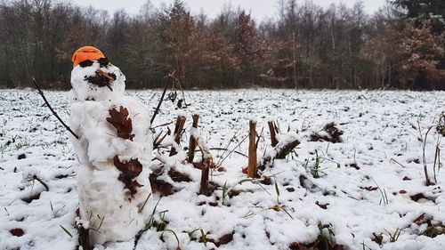 View of dog on snow covered field