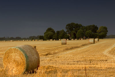 Hay bales on field against sky