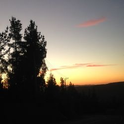 Silhouette of trees at sunset