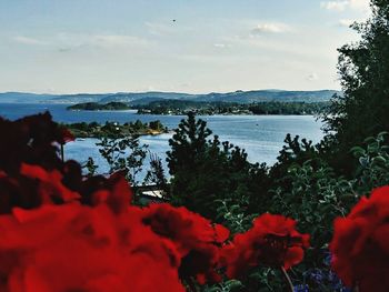 Scenic view of lake by mountain against sky