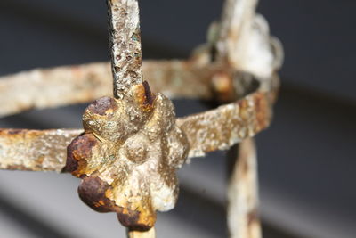 Close-up of rusty metal