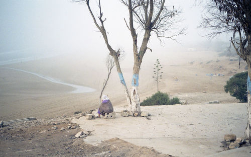 Man with dog on landscape against sky