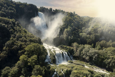 Scenic view of waterfall in forest