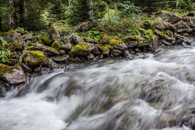 River flowing through rocks in forest