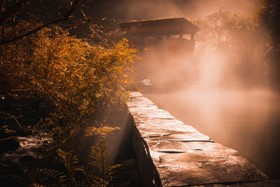 Steam over hot springs.