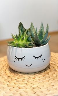 Close-up of potted plant on mat