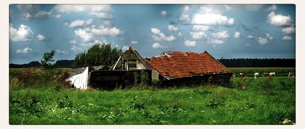 Houses on field against cloudy sky