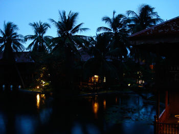 Palm trees with buildings in background