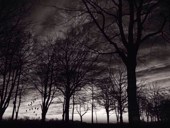 Bare trees on landscape at sunset