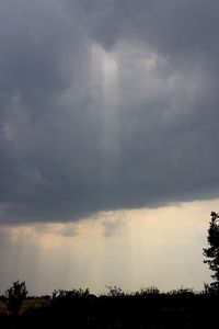 Silhouette of trees against cloudy sky