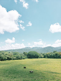 Scenic view of landscape against sky