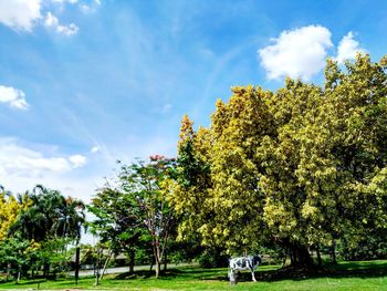 Trees in park against sky