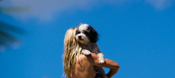 Dog on hand against blue sky