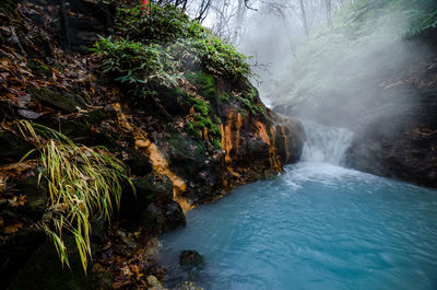 View of waterfall in forest