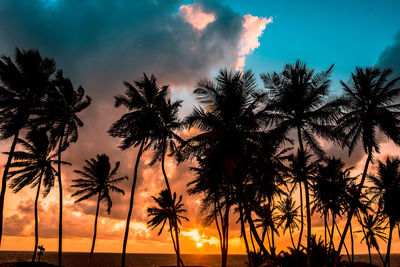 Silhouette palm trees against sky during sunset