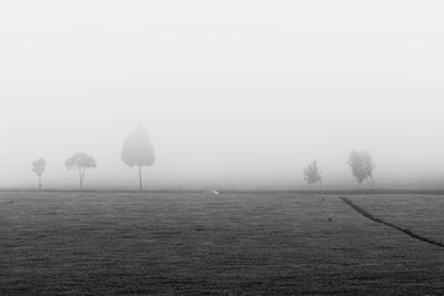fog