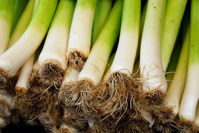 Close-up of scallions at market for sale