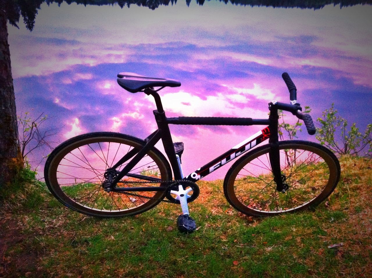 Fixedgear