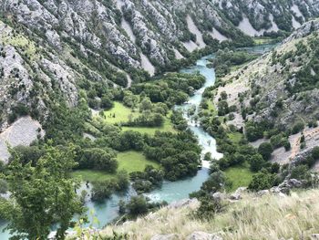 Scenic view of river flowing through forest