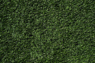 Full frame shot of grass