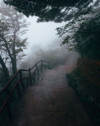 Steps amidst trees against sky