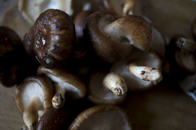 Full frame shot of eggs