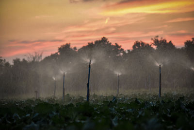 Scenic view of field against sky during sunset