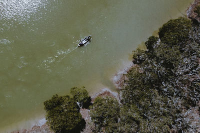 High angle view of ducks swimming in river