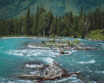 Scenic view of lake